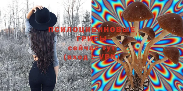 ECSTASY Козловка