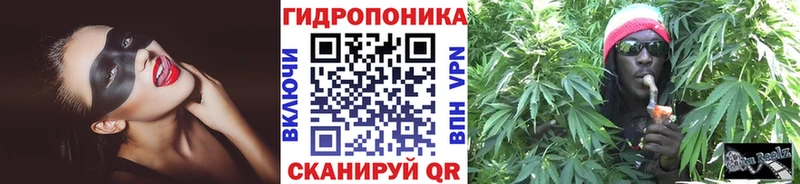 Купить где  Белокуриха  Канабис SATIVA & INDICA 